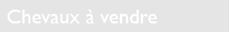 Chevaux à vendre
